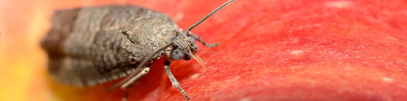 Güttinger-Tagung 2026