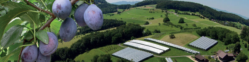 Breitenhof-Tagung Agroscope 2026