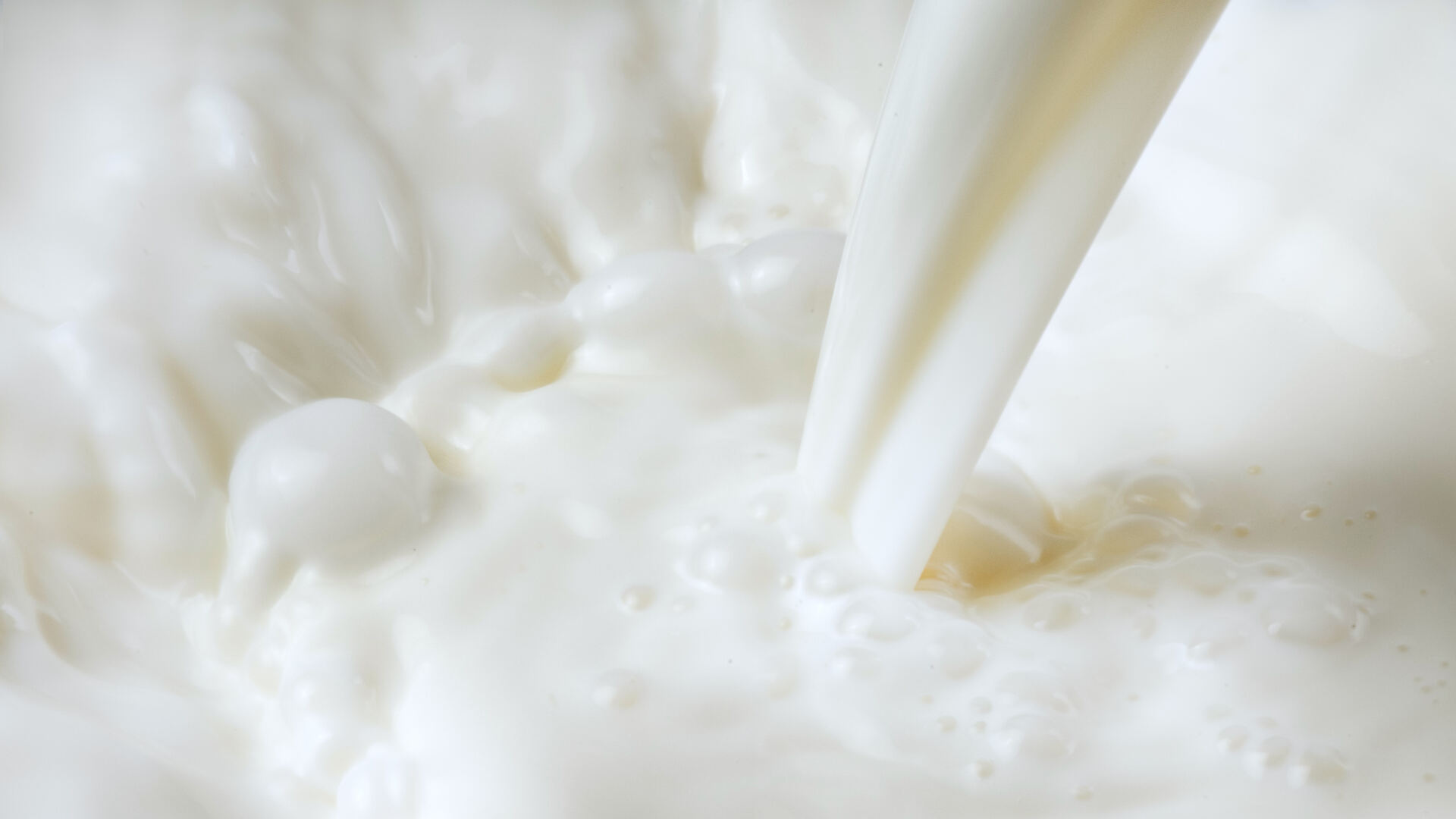 Liebefelder Milchtagung 2027